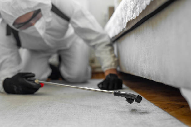 Professional Bed Bug Control technician working in Barton, NM
